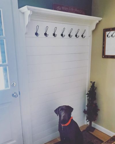 Repair & trim project — 1 of 3