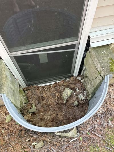 Window well before repair — filled with debris and leaf buildup